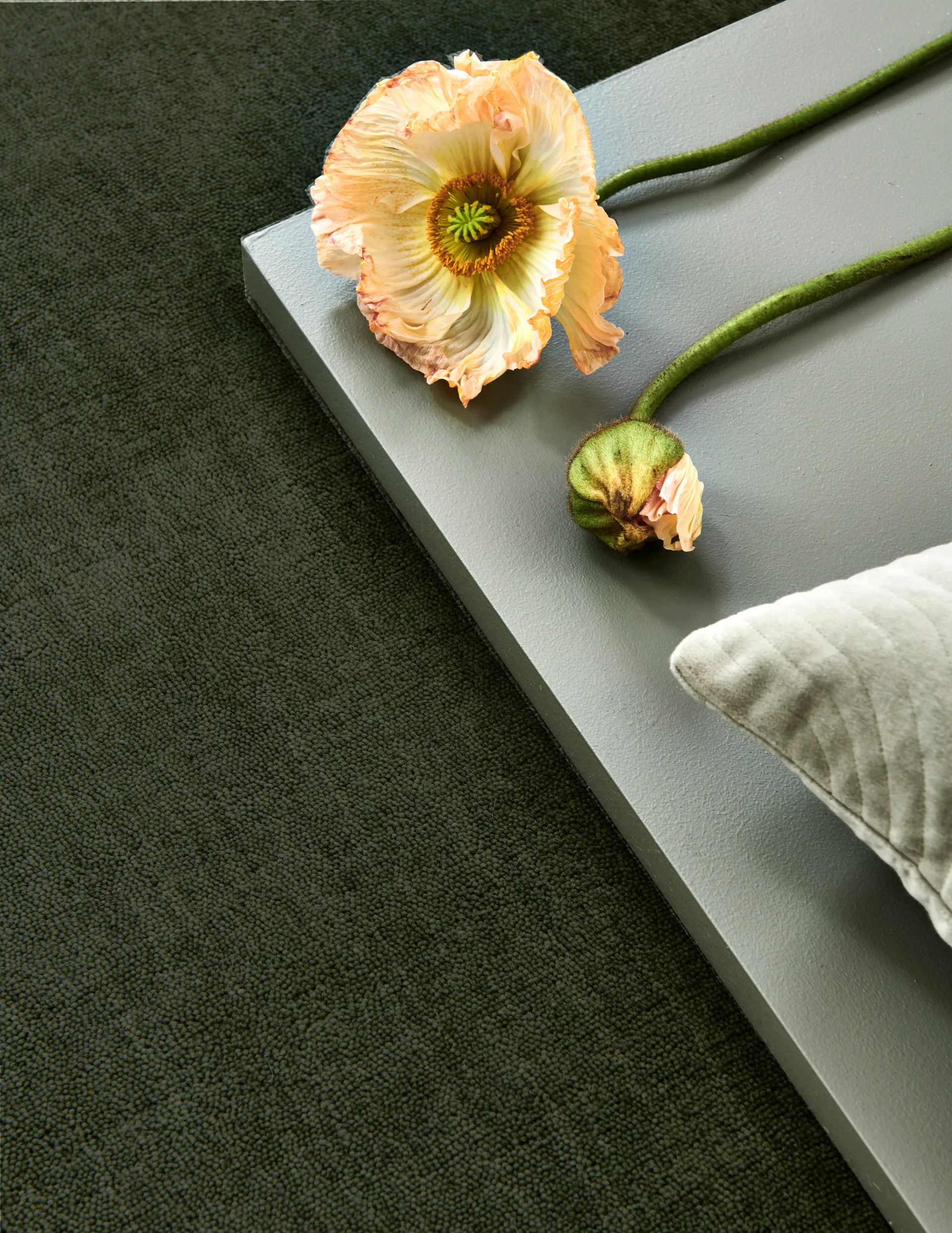 Solid matto, Green, 250×350 cm Classic Collection