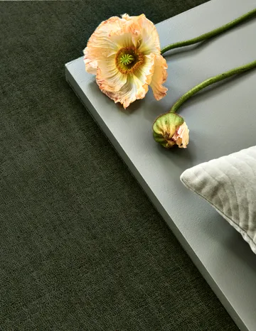 Solid matto - Green, 250×350 cm - Classic Collection