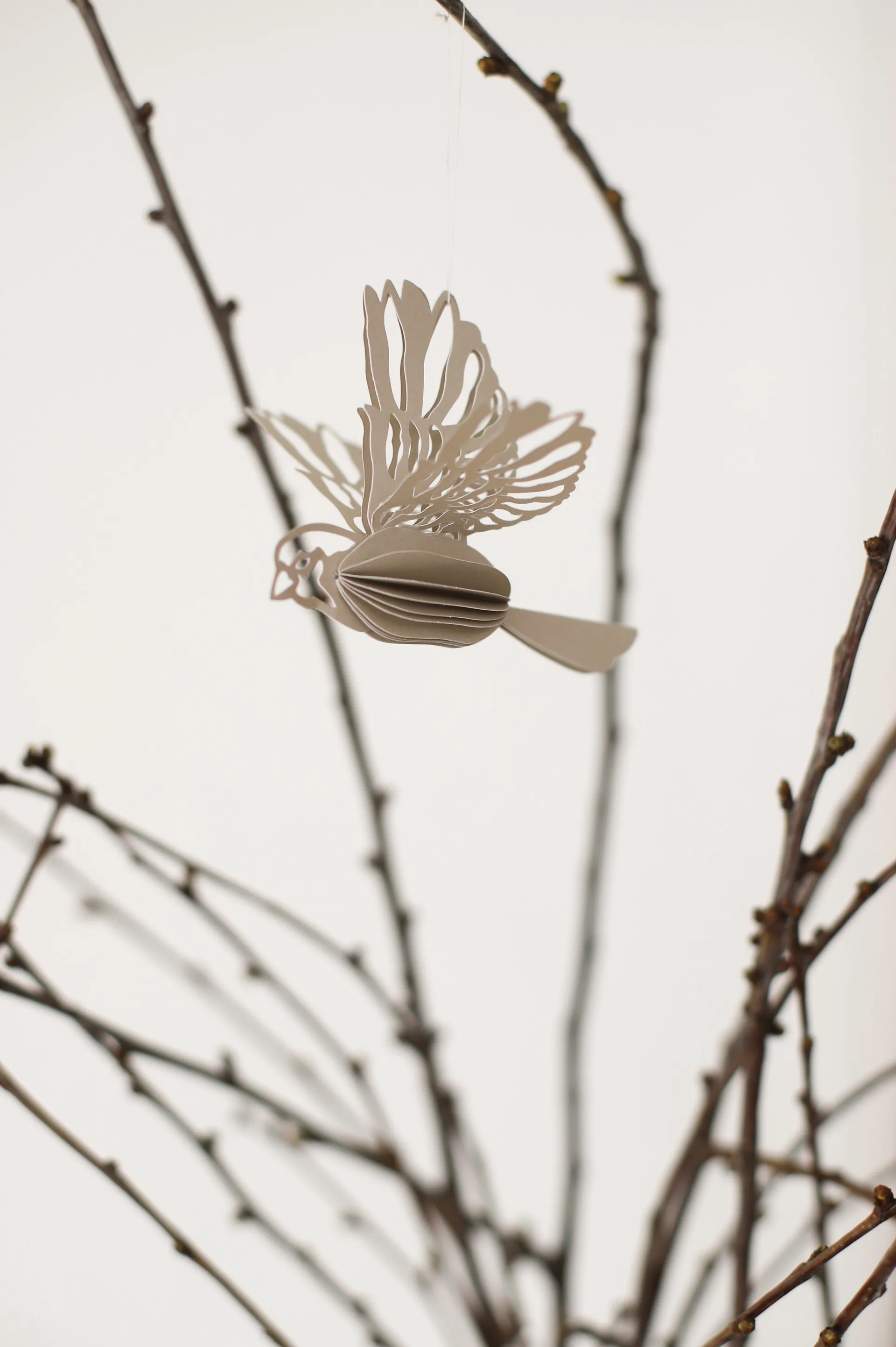 Paperilintu koristekoriste 2 kpl, Hiekka Cooee Design