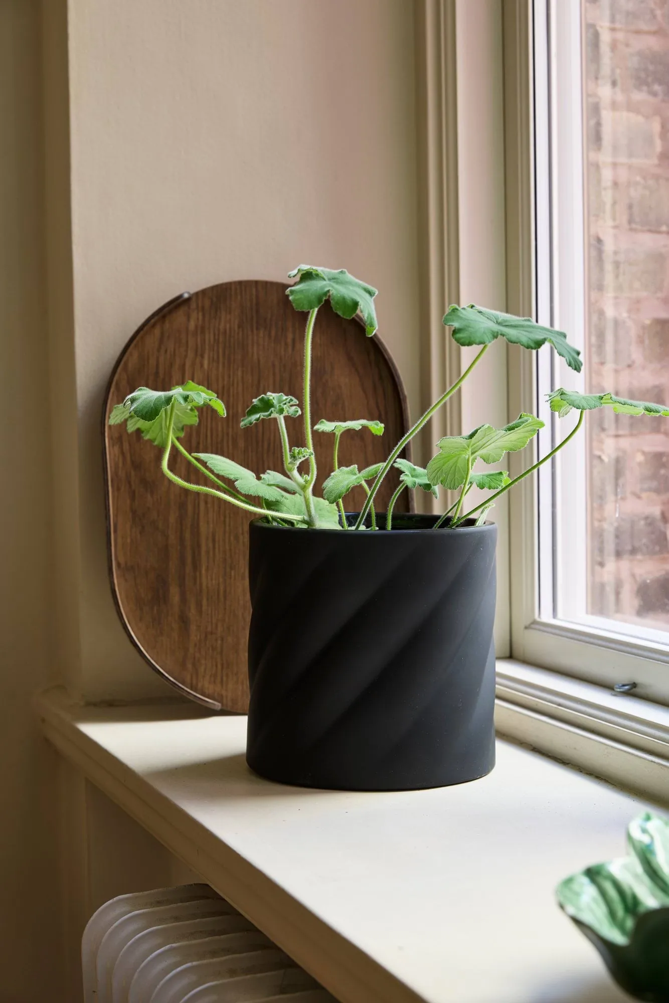 Twist kukkaruukku, Black, medium Ø19 cm Cooee Design
