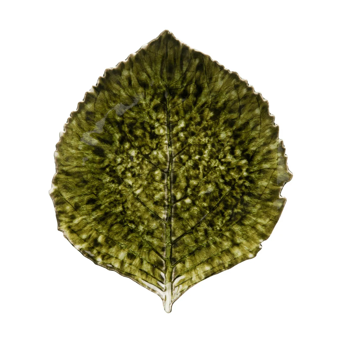 Riviera Hydrangea tarjoiluvati, Forest, 22 cm Costa Nova