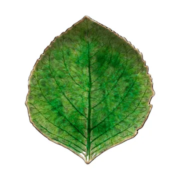 Riviera Hydrangea tarjoiluvati - Tomaatti, 17 cm - Costa Nova