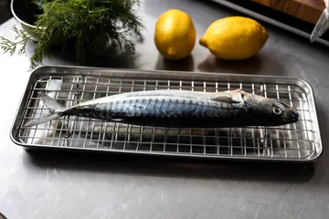 Culimat-ruokalevy jäähdytysritilällä - Ruostumaton teräs, 38x14x2,5 cm - Culimat