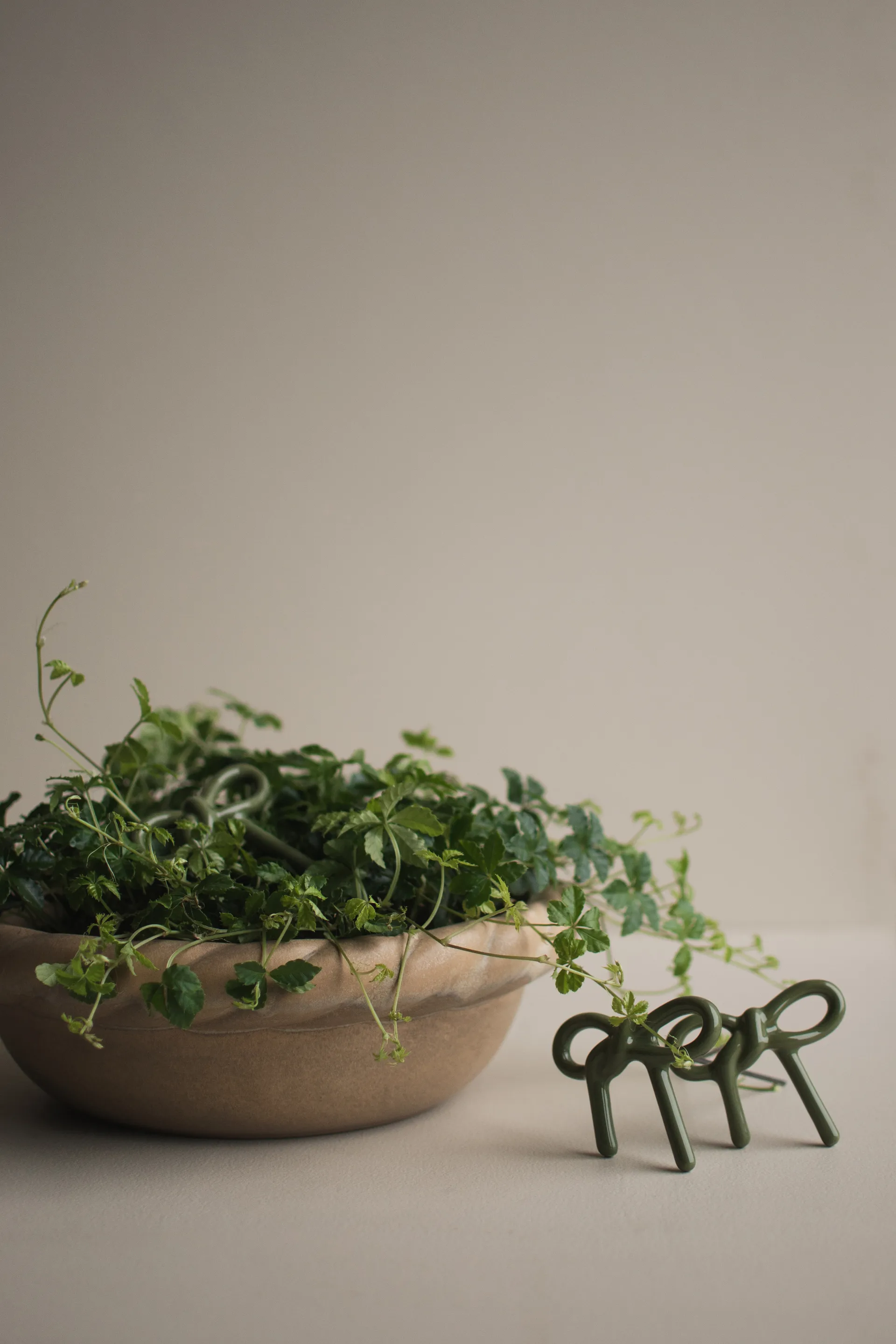 Bow kukkakoriste, Kiiltävä vihreä DBKD