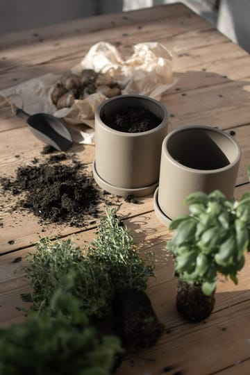 Grow ruukku Ø13 cm aluslautasella - Dust - DBKD