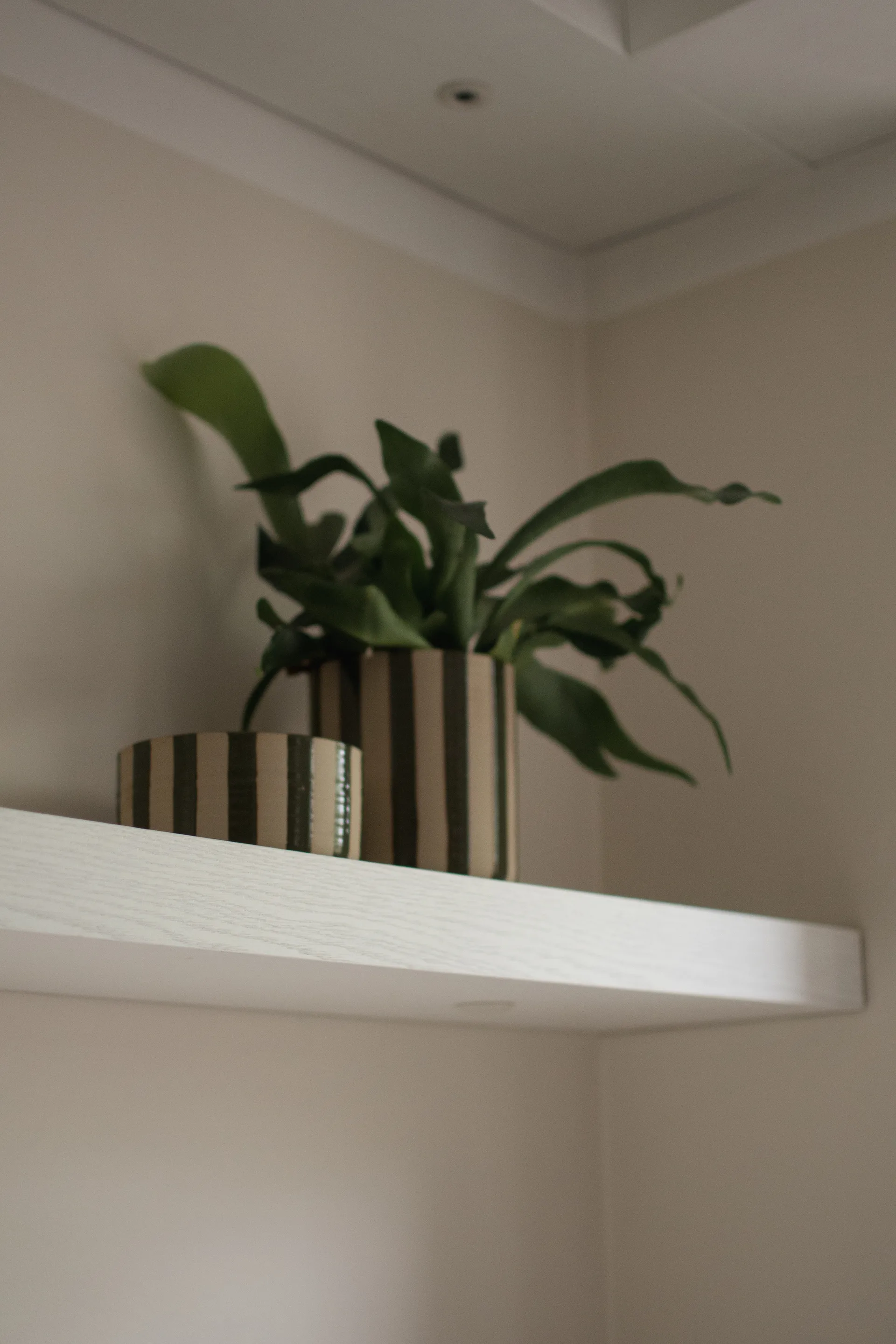 Line koristekulho Ø16 cm, Raidallinen vihreä DBKD