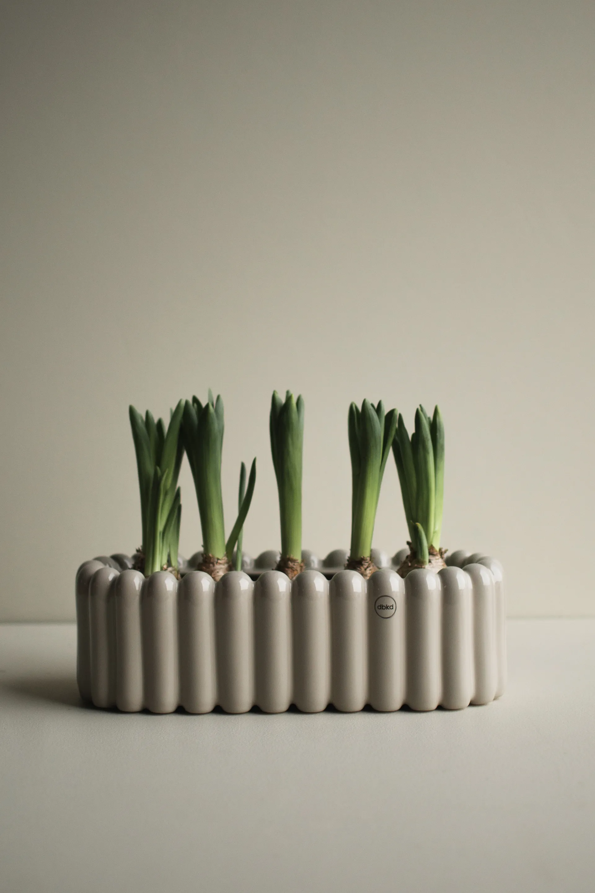 Mist ruukku soikea small 35 cm, Kiiltävä maatiaismyyri DBKD