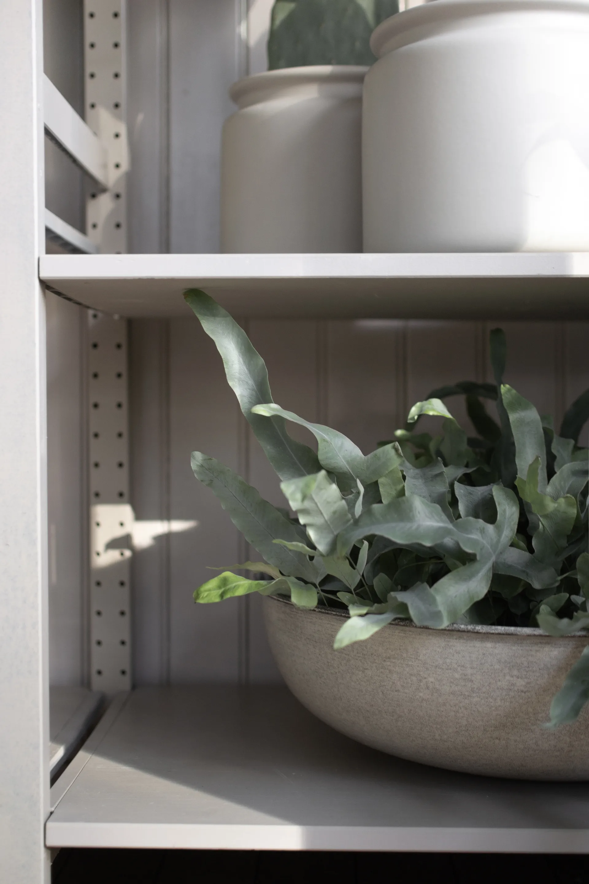 Out bowl 3 osaa, Beige DBKD