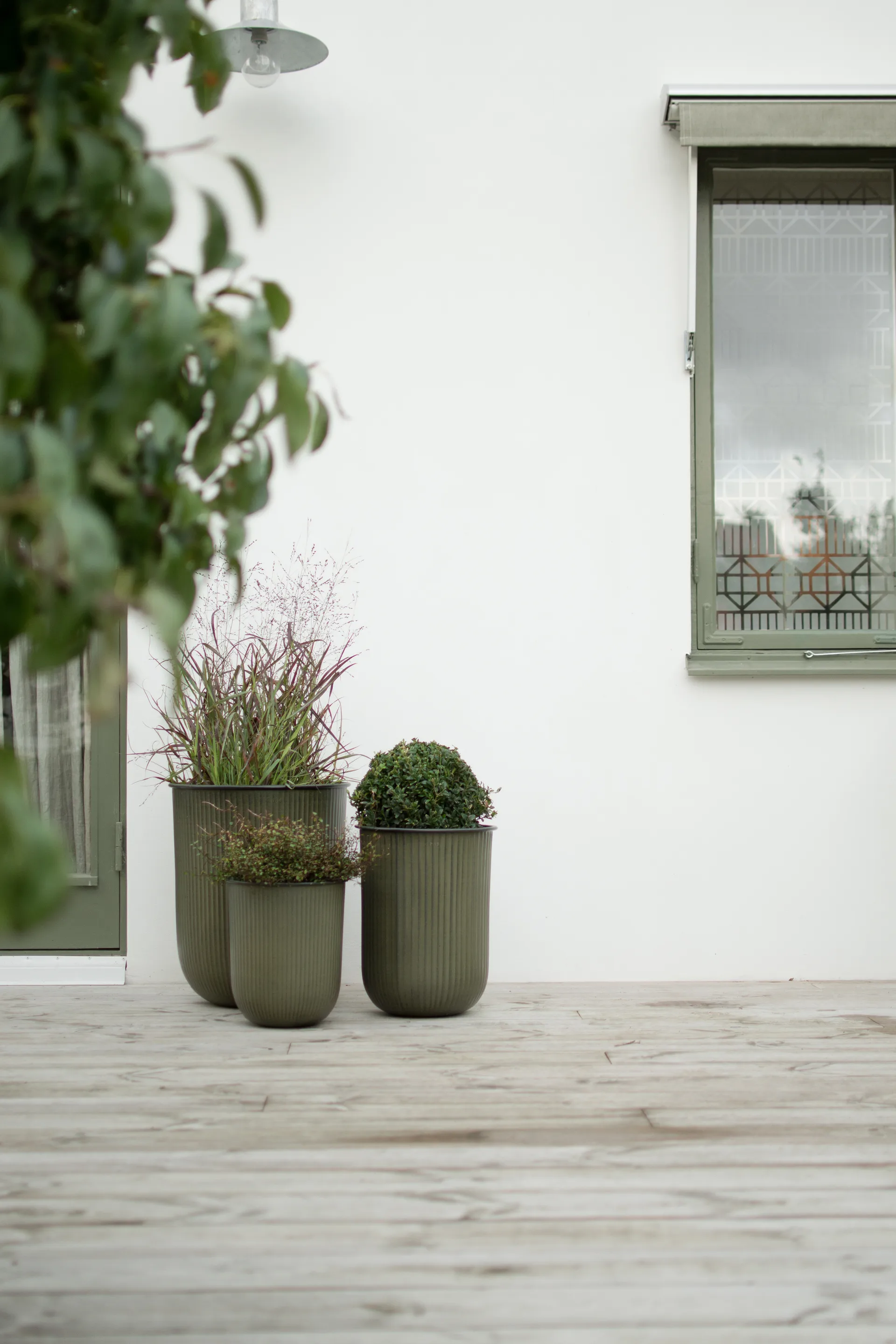 Out stripe -ruukku 3-pakkaus, Vihreä DBKD