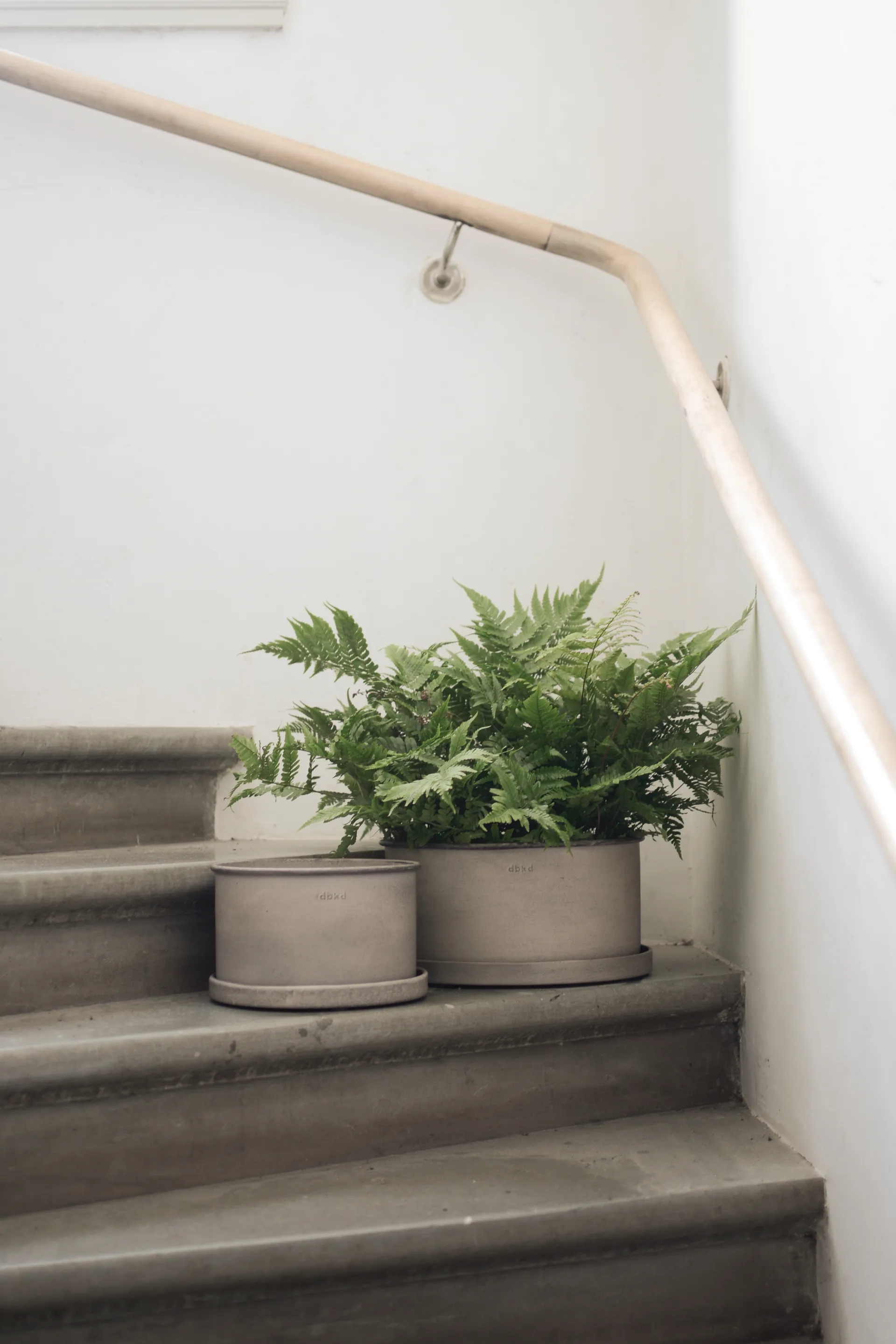 Plant bowl -ruukku 2-pakkaus, Beige DBKD