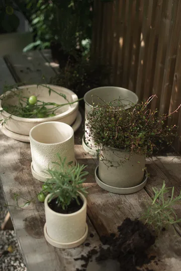 Plant pot ruukku pieni 2 kpl - Beige - DBKD