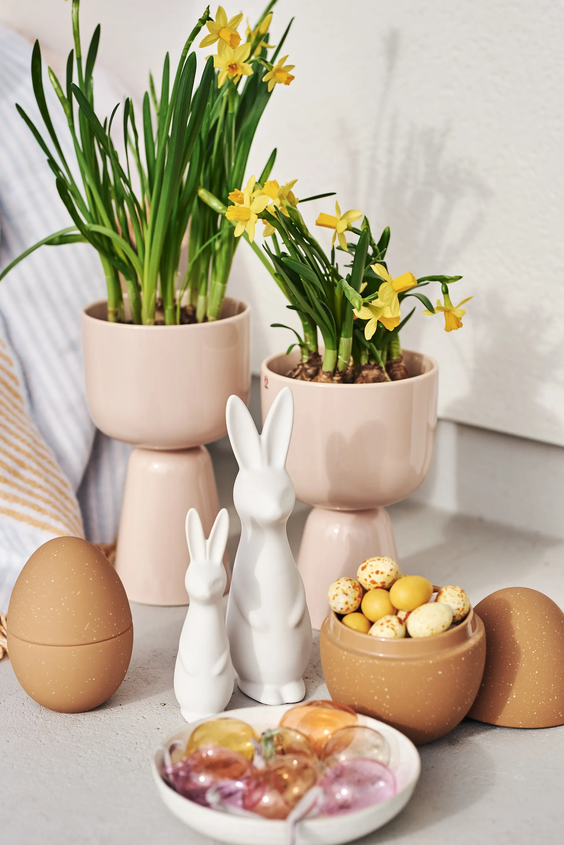 Swedish rabbit large, White DBKD