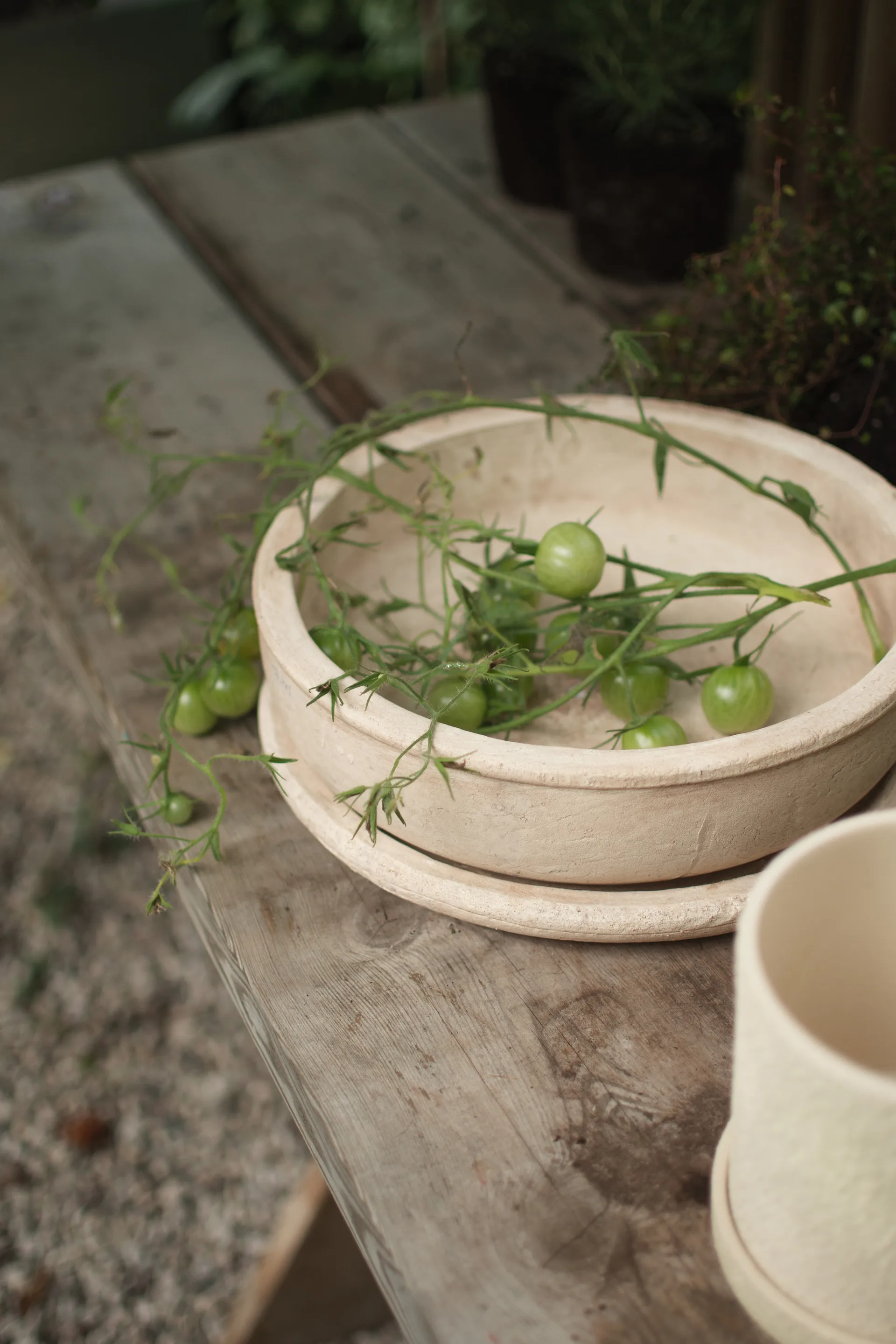 Terra bowl ruukku, Hiekka, Ø30×10,5 cm DBKD