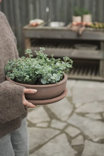 Terra bowl ruukku - Ruskea, Ø30×10,5 cm - DBKD