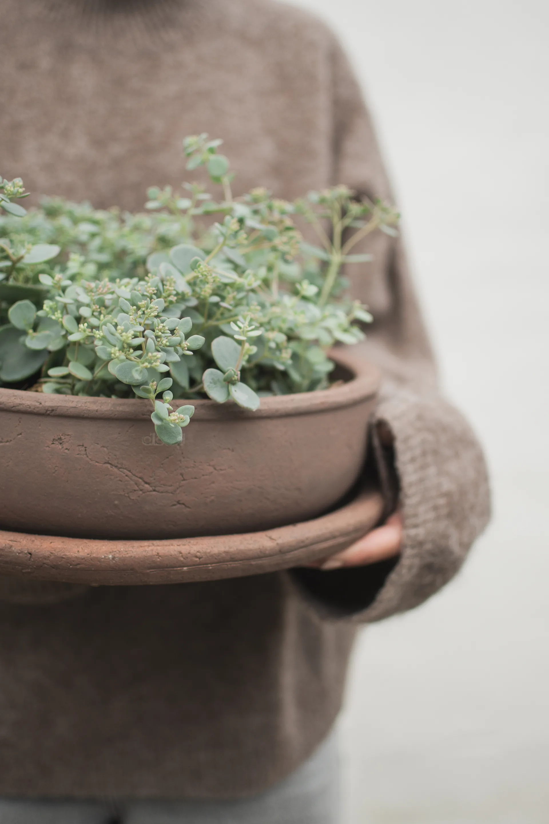 Terra bowl ruukku, Ruskea, Ø30×10,5 cm DBKD