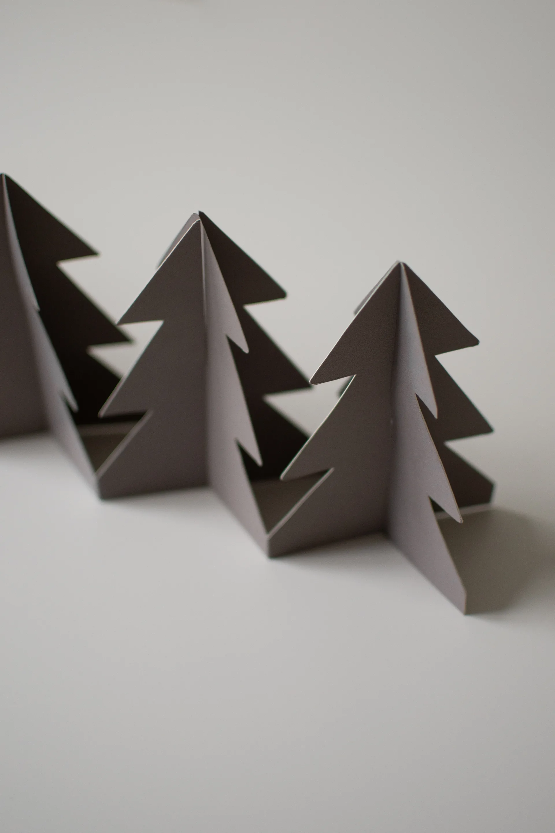Tree in a row koriste 60 cm, Mole, 7x60 cm DBKD