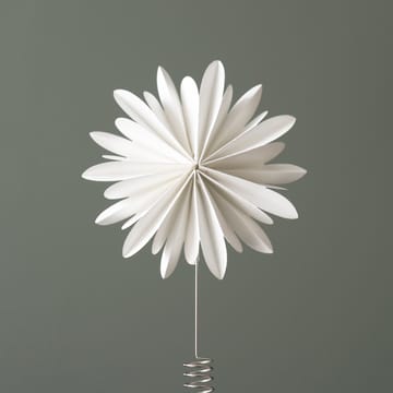 Tree tops flower -latvatähti - White - DBKD