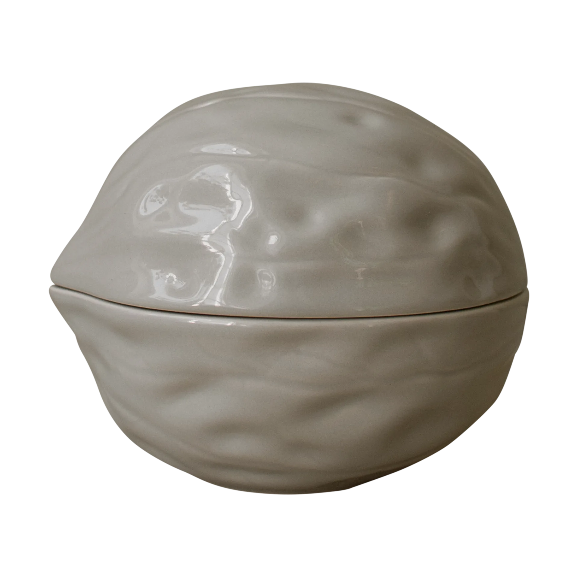 Walnut kulho kannella, Shiny mole DBKD