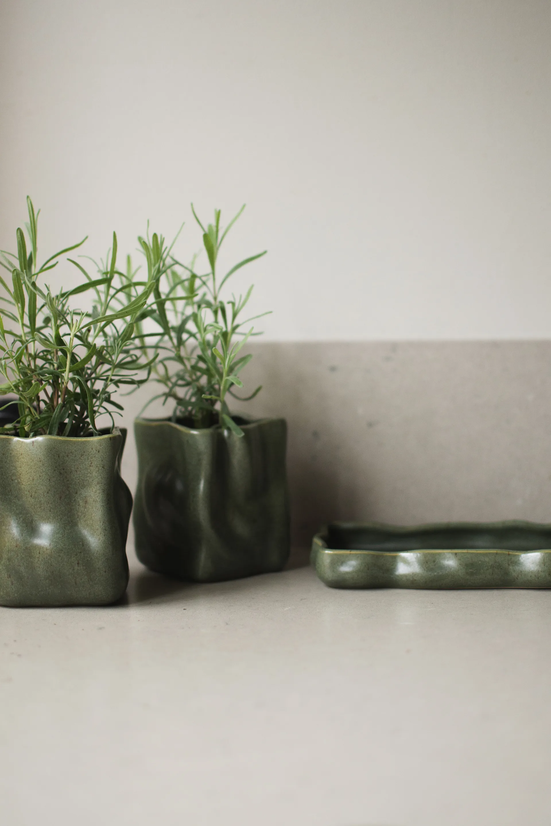 Yrttiruukku 3 osaa, Sammal DBKD