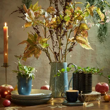 Studio Grey coupe -lautanen 26 cm, 4-pakkaus - Graniitti - Denby