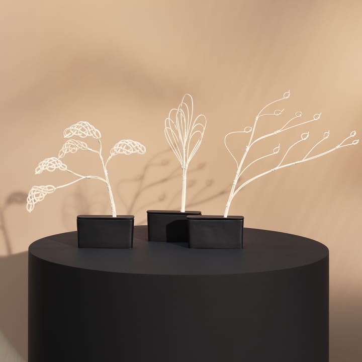 Bonsai tuoksupuu - cloud - Design House Stockholm