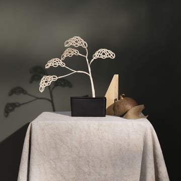 Bonsai tuoksupuu, setti - cloud - Design House Stockholm