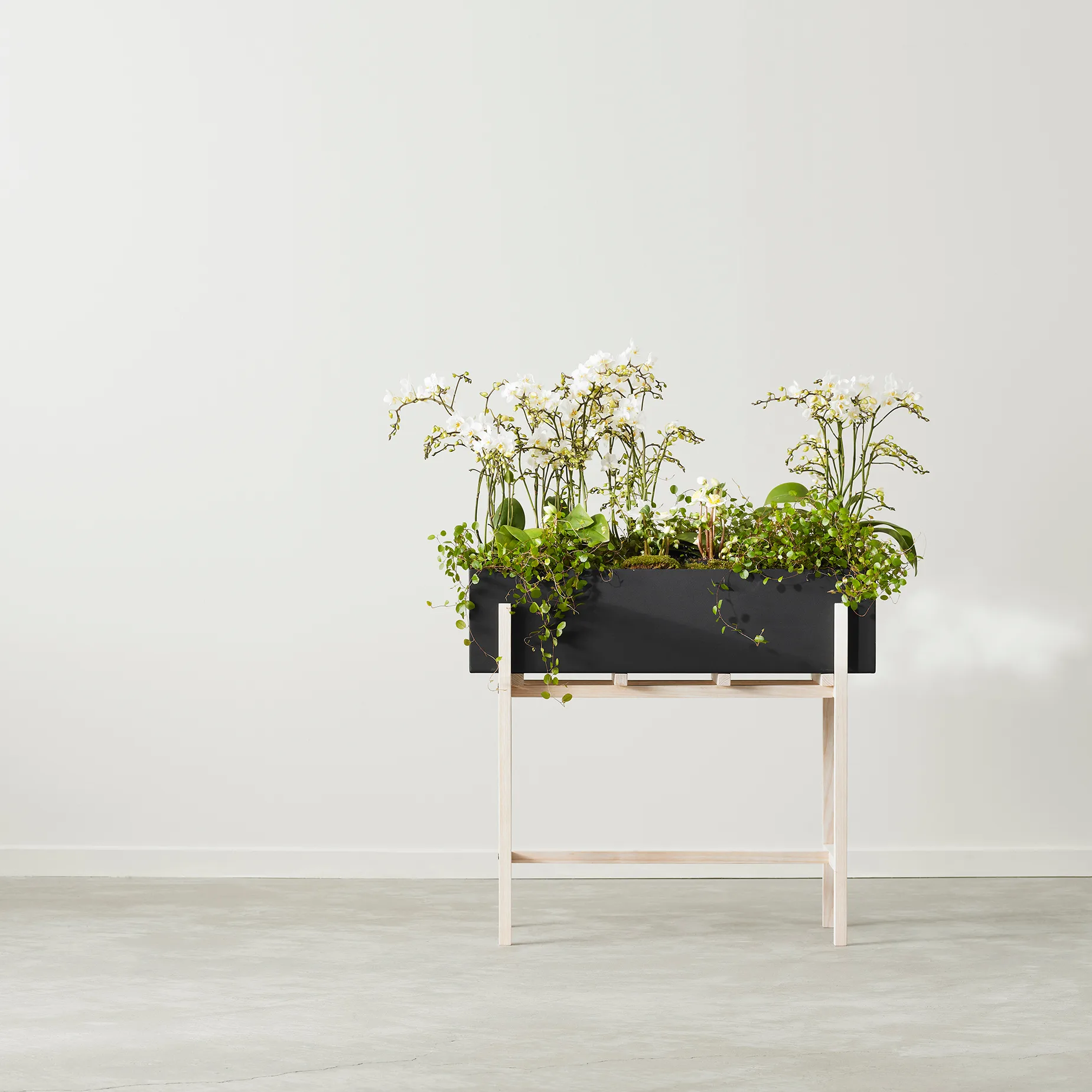Botanic flower stand, Musta-saarni Design House Stockholm