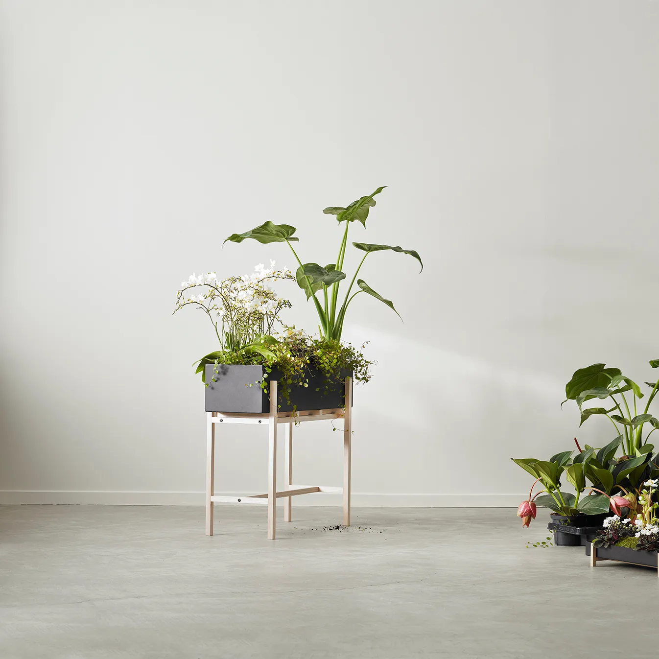 Botanic flower stand, Musta-saarni Design House Stockholm
