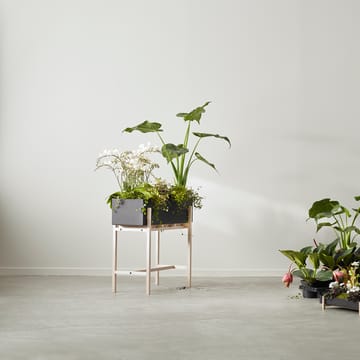 Botanic flower stand - Musta-saarni - Design House Stockholm