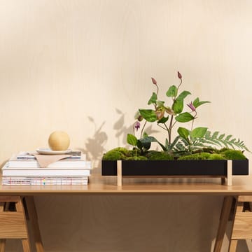 Botanic Flower Tray kukkatarjotin - musta - Design House Stockholm