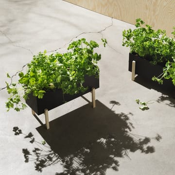 Botanic herb box - Musta-saarni - Design House Stockholm