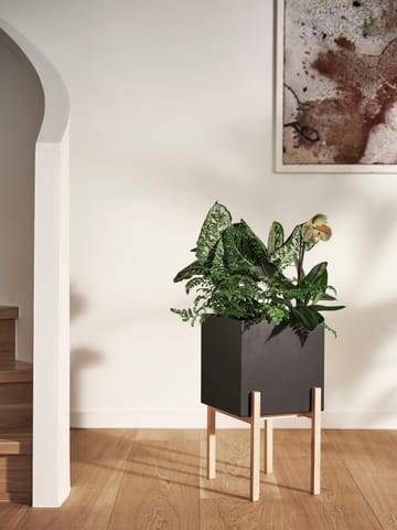 Botanic pedestal ruukku - Musta-saarni - Design House Stockholm