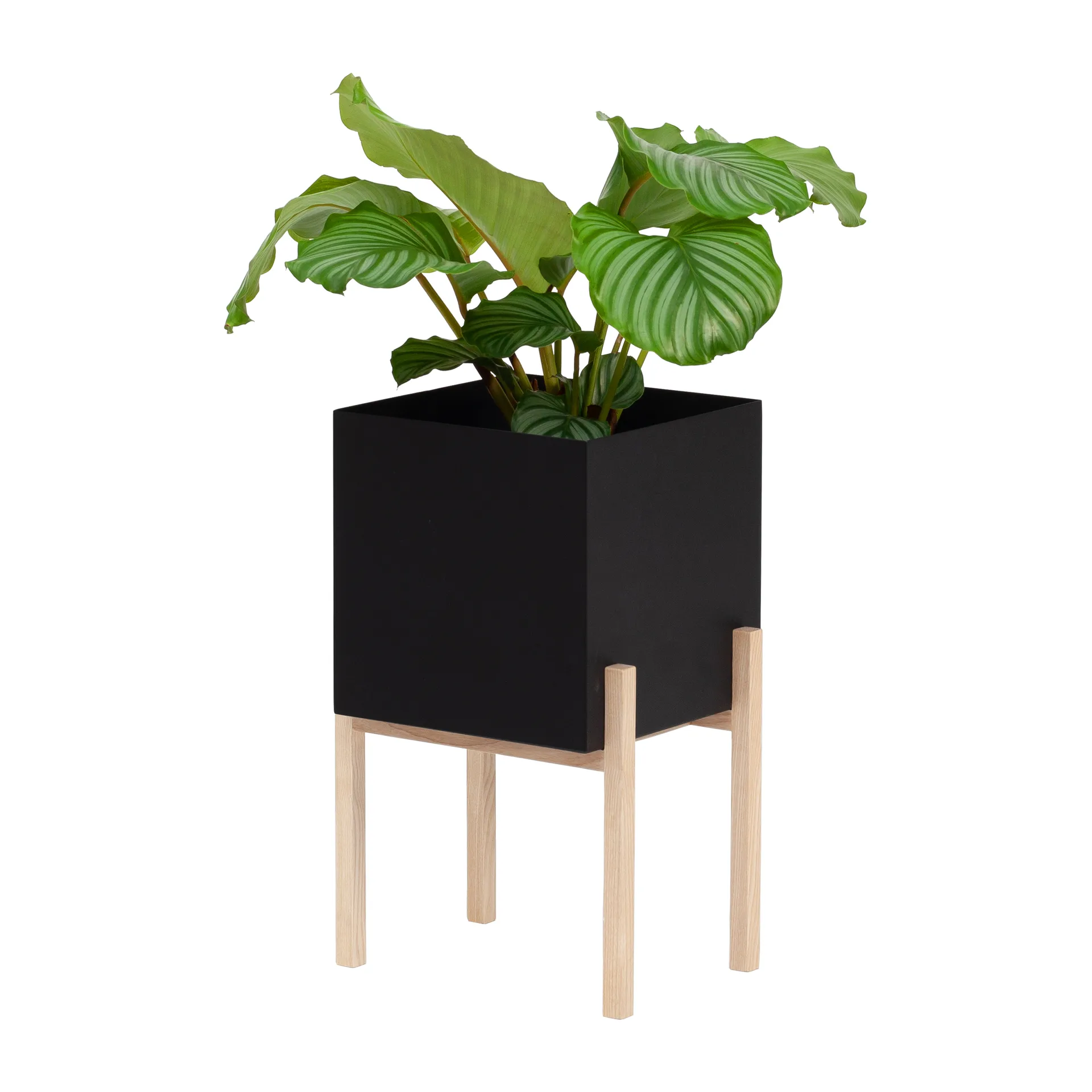 Botanic pedestal ruukku, Musta-saarni Design House Stockholm