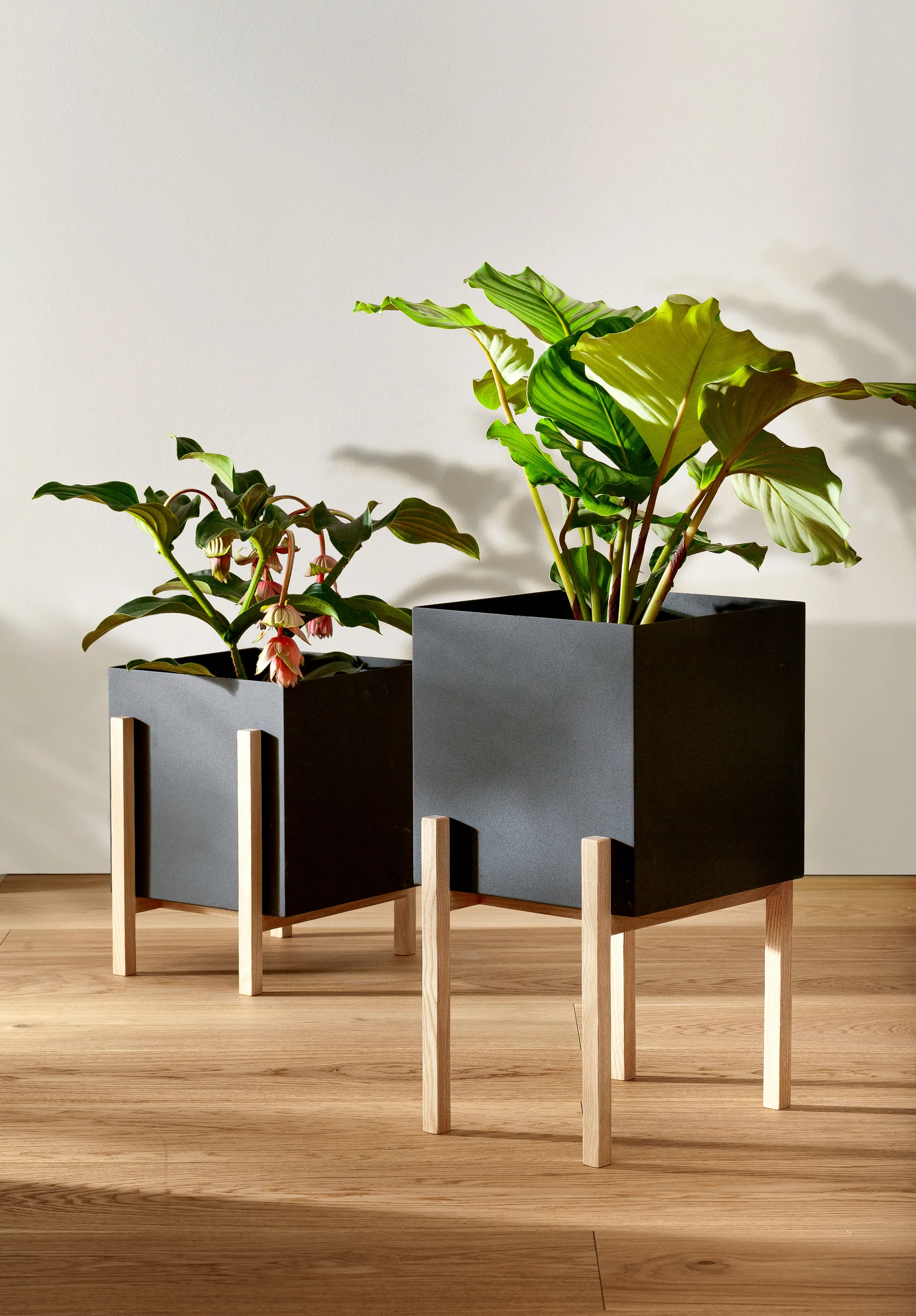 Botanic pot ruukku, Musta-saarni Design House Stockholm