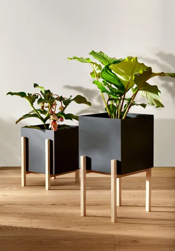 Botanic pot ruukku - Musta-saarni - Design House Stockholm
