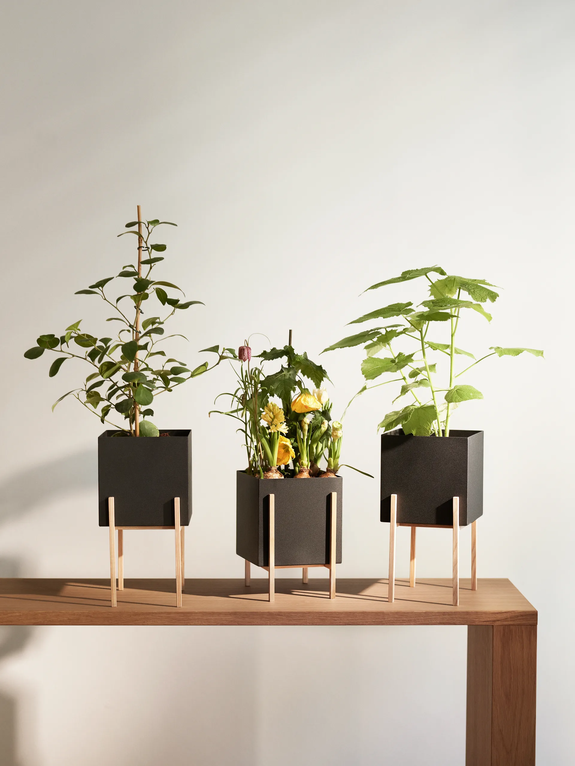 Botanic pot ruukku, Musta-saarni Design House Stockholm