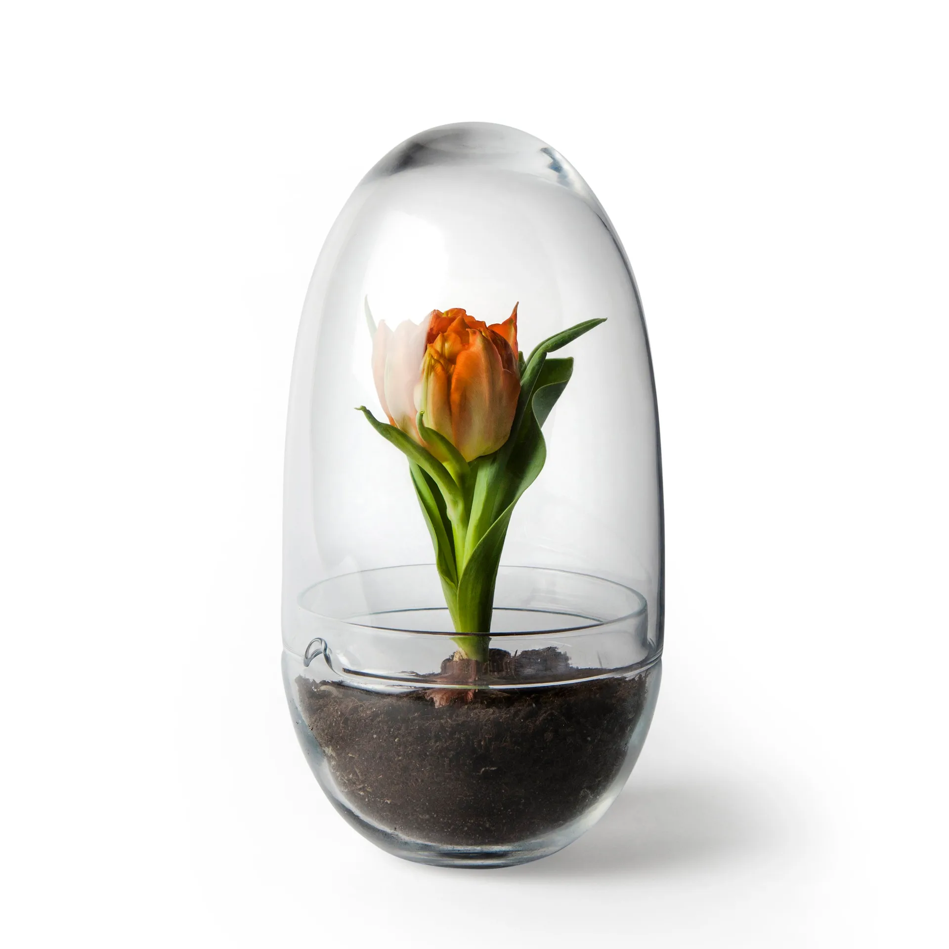 Grow-idätysastia, Medium ø11 cm Design House Stockholm