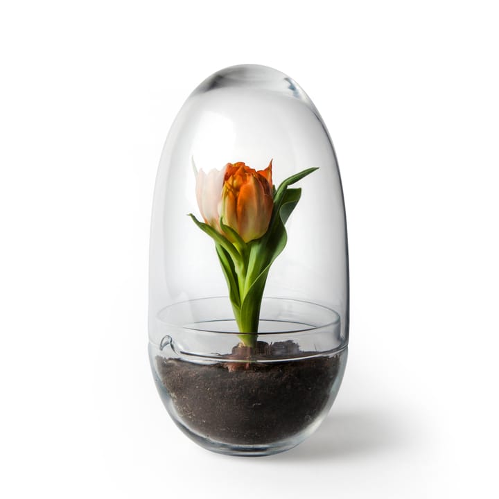 Grow-idätysastia - Medium Ø11 cm - Design House Stockholm