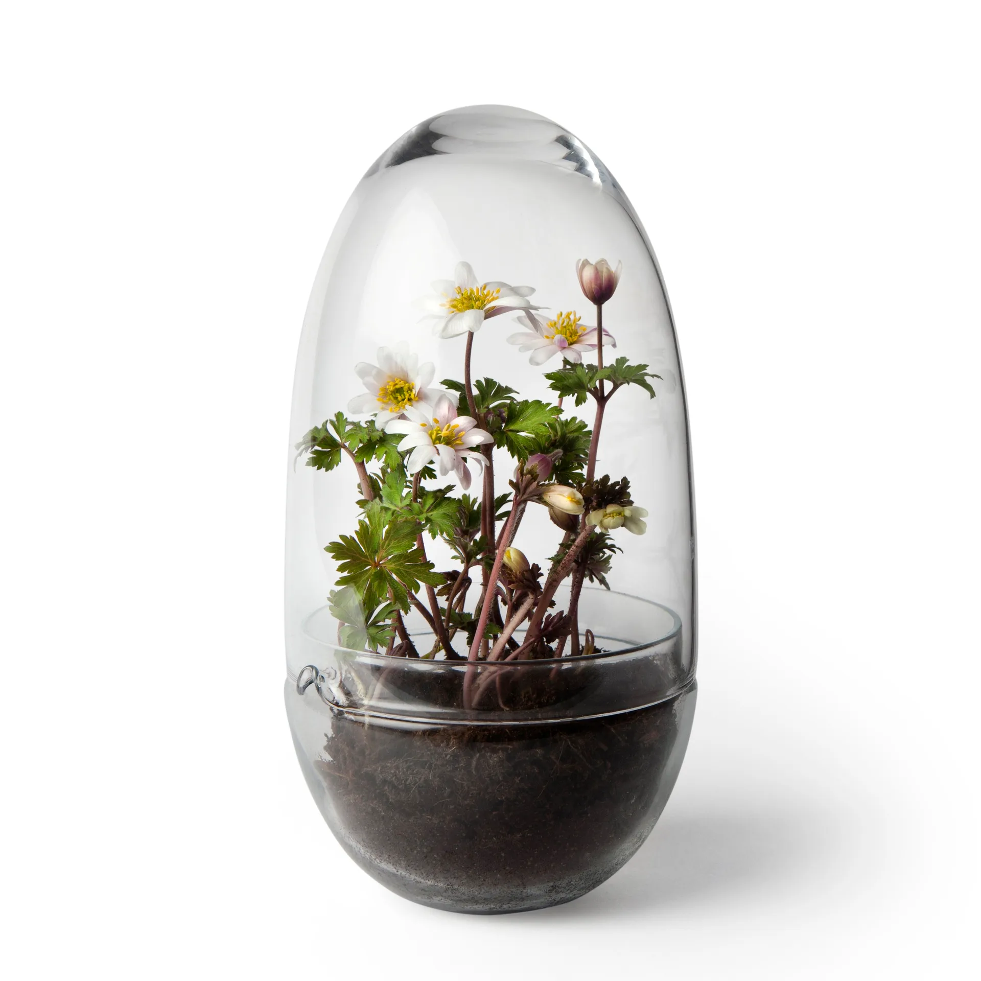 Grow-idätysastia, Medium ø11 cm Design House Stockholm