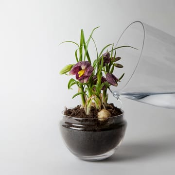 Grow-idätysastia - Medium Ø11 cm - Design House Stockholm