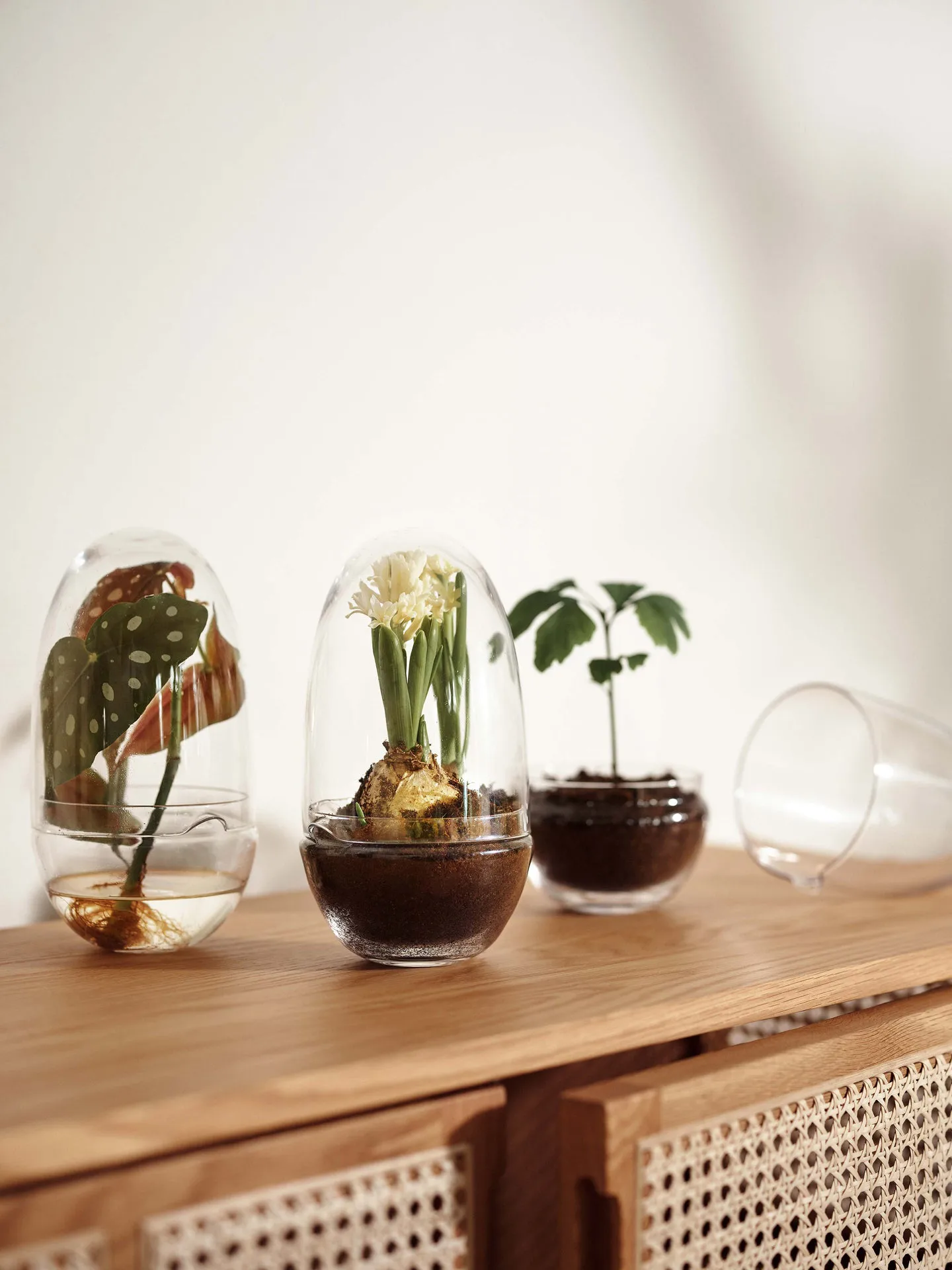 Grow-idätysastia, Medium ø11 cm Design House Stockholm