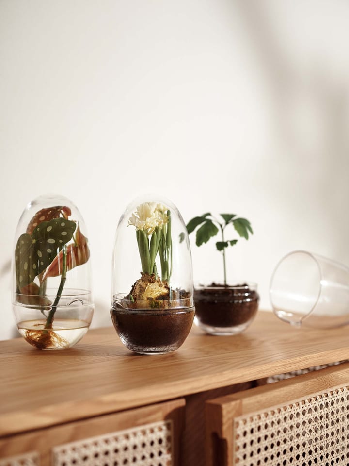 Grow-idätysastia, Medium ø11 cm Design House Stockholm