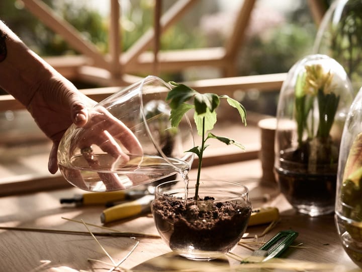 Grow-idätysastia, Medium ø11 cm Design House Stockholm