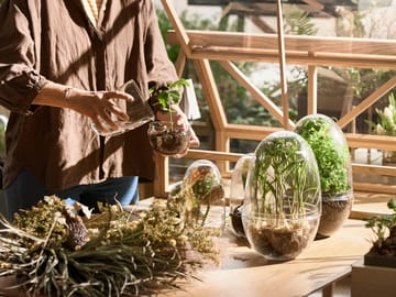 Grow-idätysastia - Medium ø11 cm - Design House Stockholm