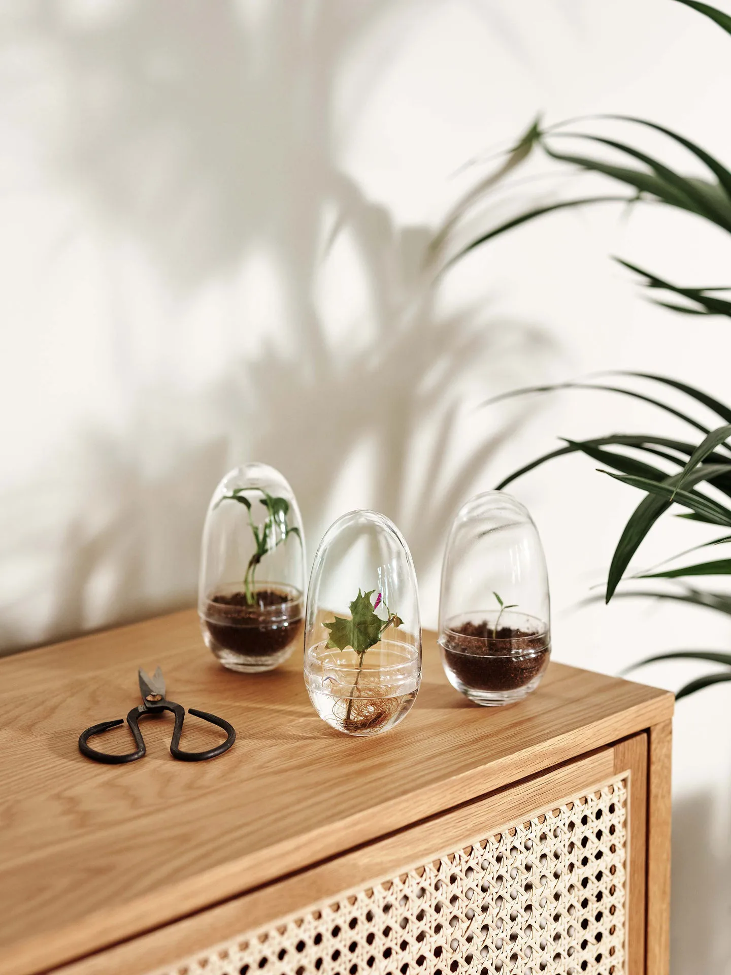 Grow-idätysastia, Pieni ø8 cm Design House Stockholm