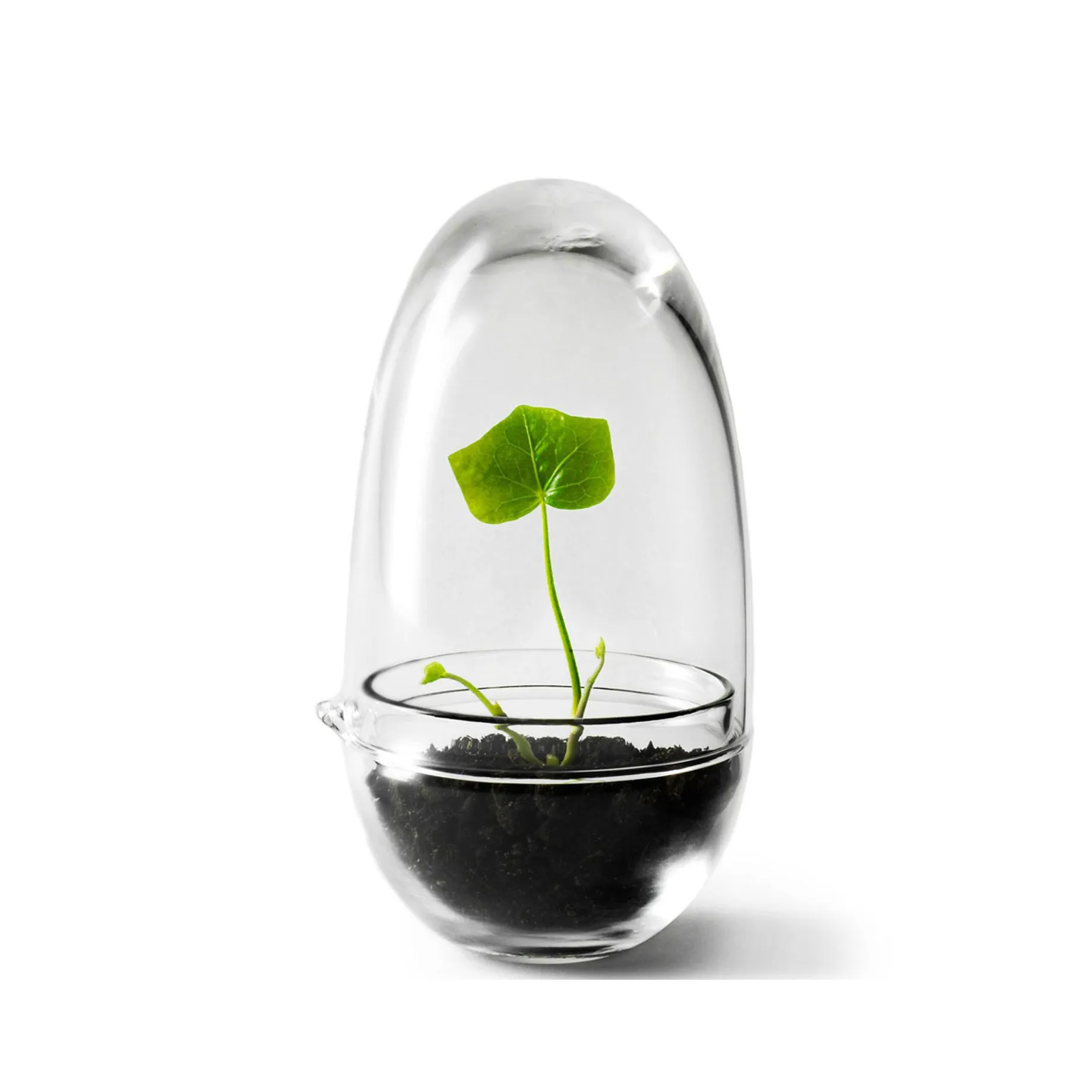 Grow-idätysastia, Pieni ø8 cm Design House Stockholm