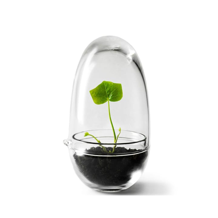 Grow-idätysastia - pieni  Ø8 cm - Design House Stockholm