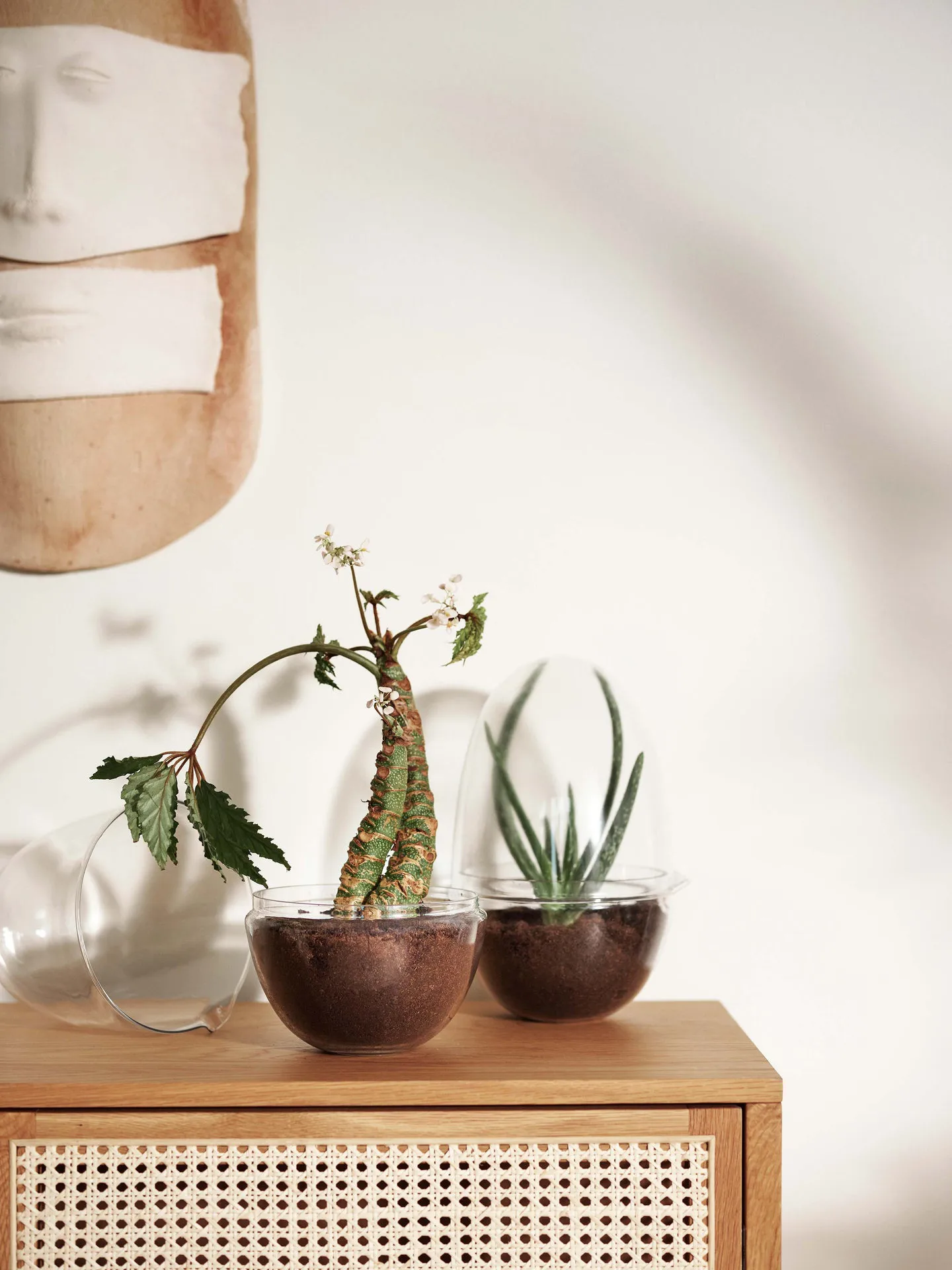 Grow-idätysastia, x-large Ø20 cm Design House Stockholm