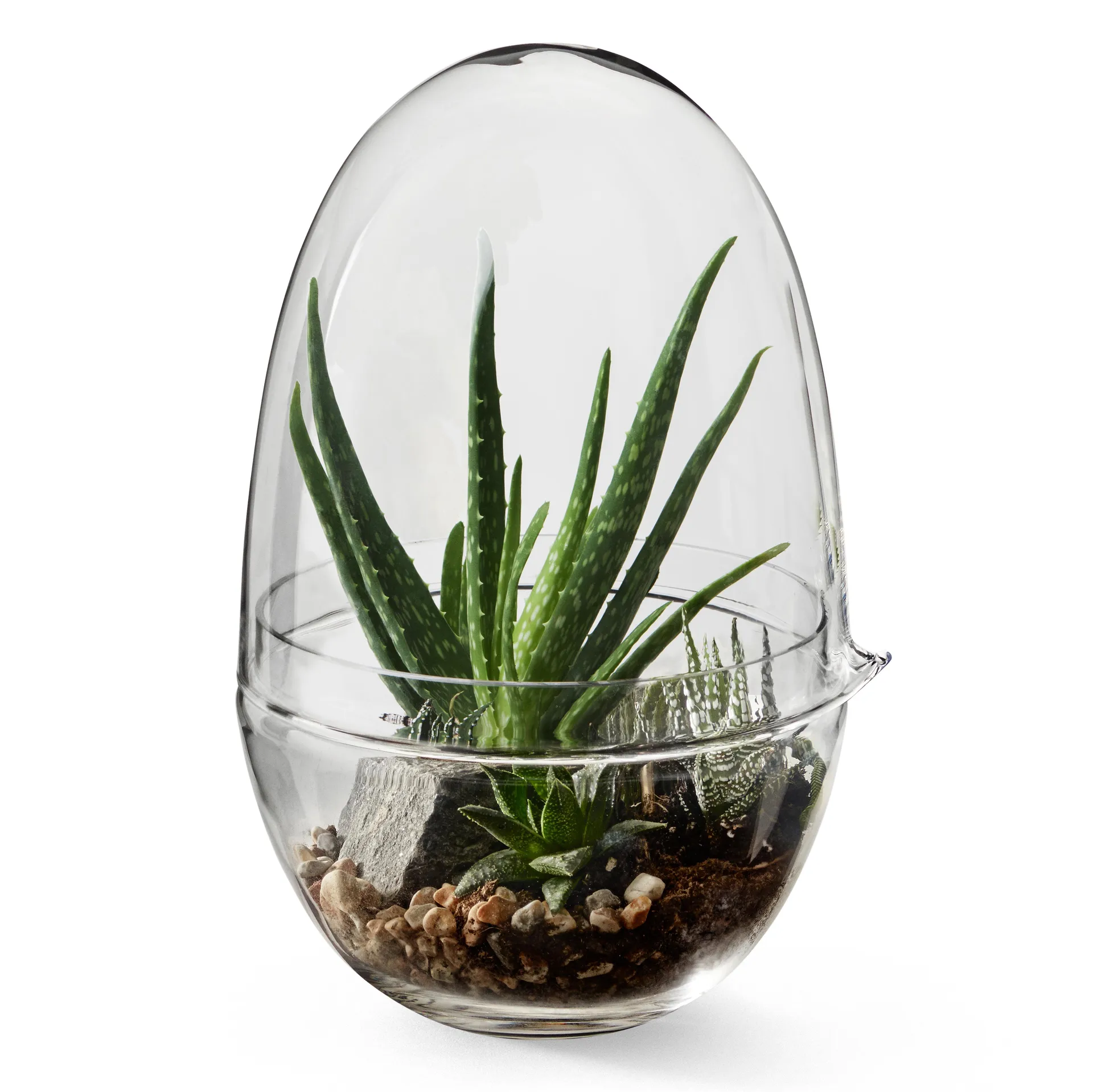 Grow-idätysastia, x-large Ø20 cm Design House Stockholm