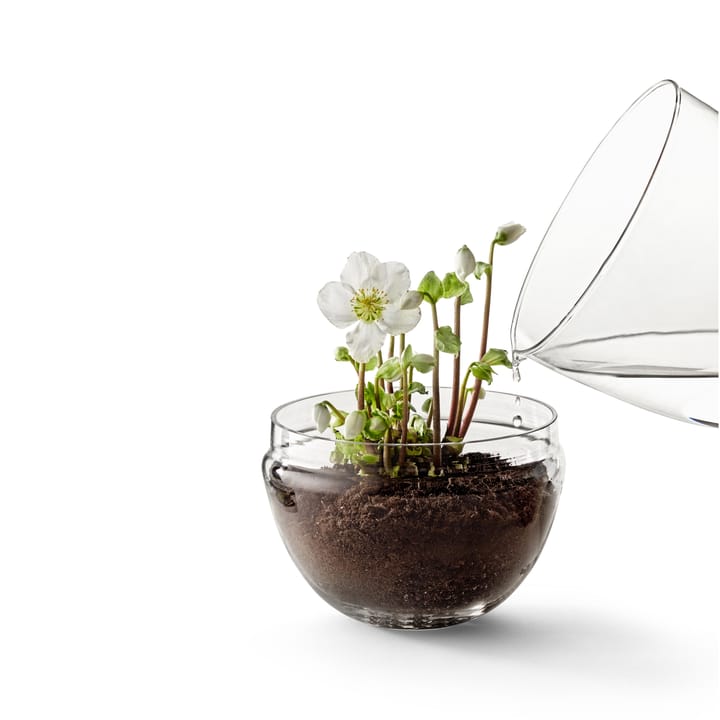 Grow-idätysastia, x-large Ø20 cm Design House Stockholm